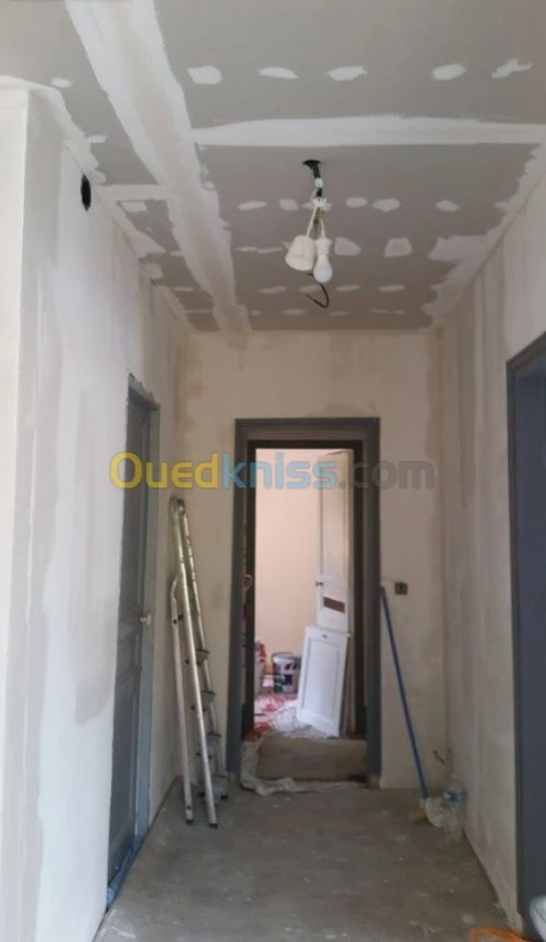 Plaquiste peintre jointeur