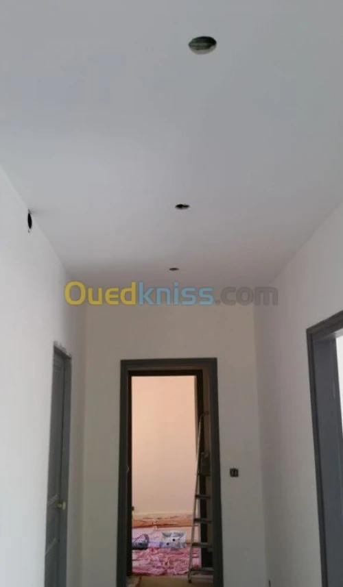 Plaquiste peintre jointeur