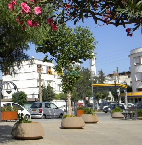 Location vacances Studio Alger Hydra
