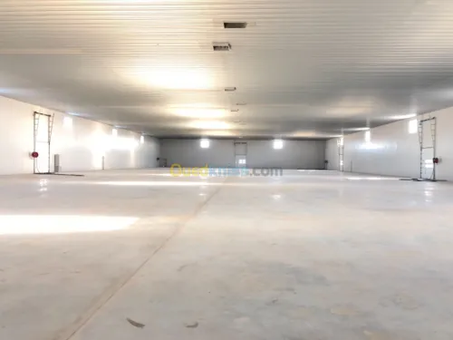 Location Hangar Alger Dar el beida