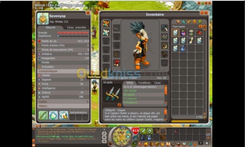 dofus