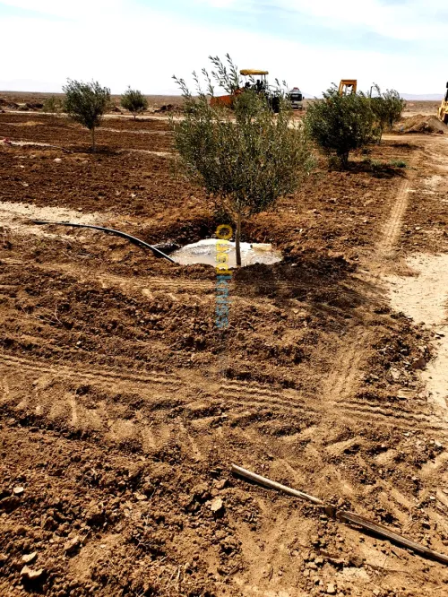 Vente Terrain Agricole Biskra El outaya