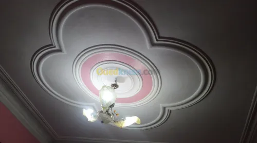 Platre . faux plafond 