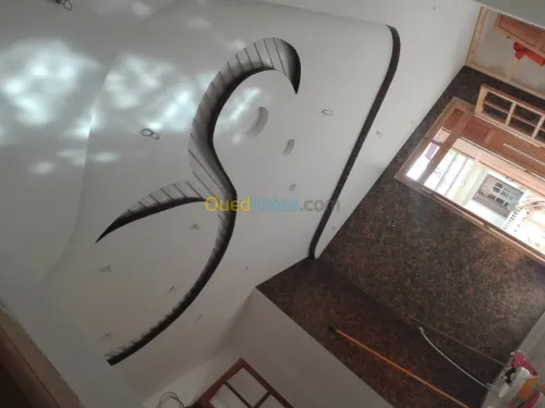 Platre . faux plafond 