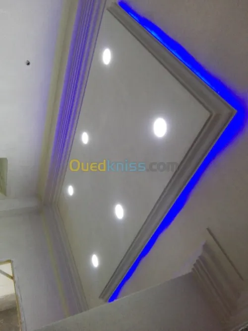 Platre . faux plafond 