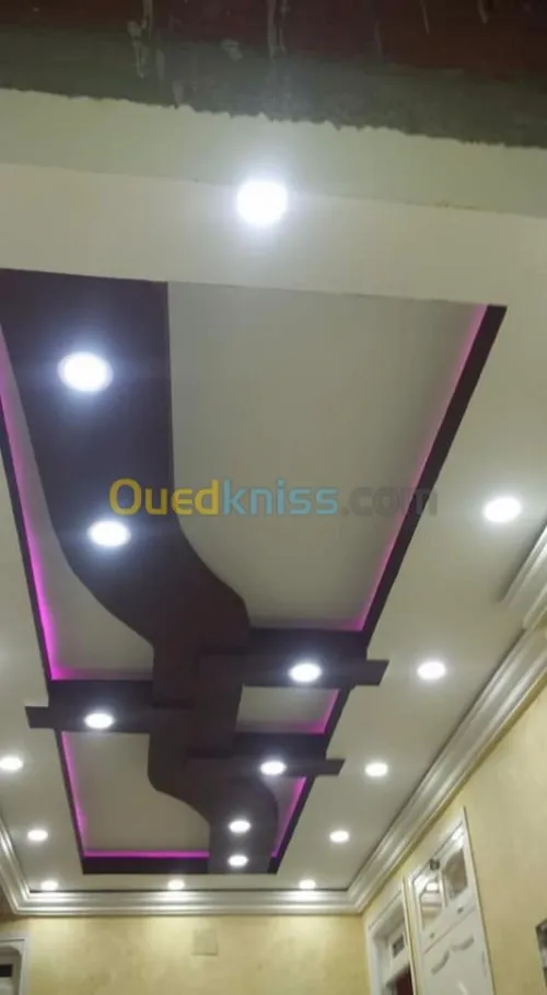 Platre . faux plafond 