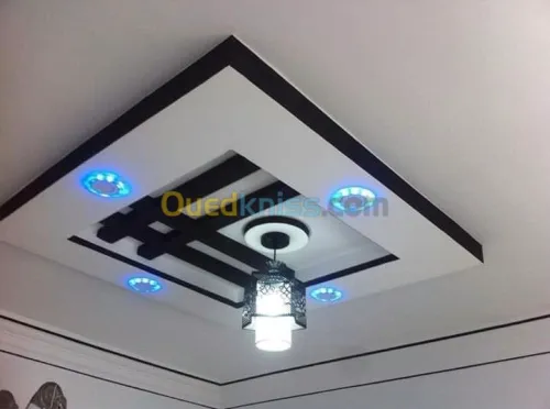 Platre . faux plafond 