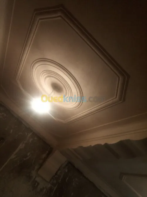 Platre . faux plafond 