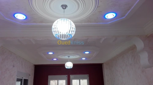 Platre . faux plafond 