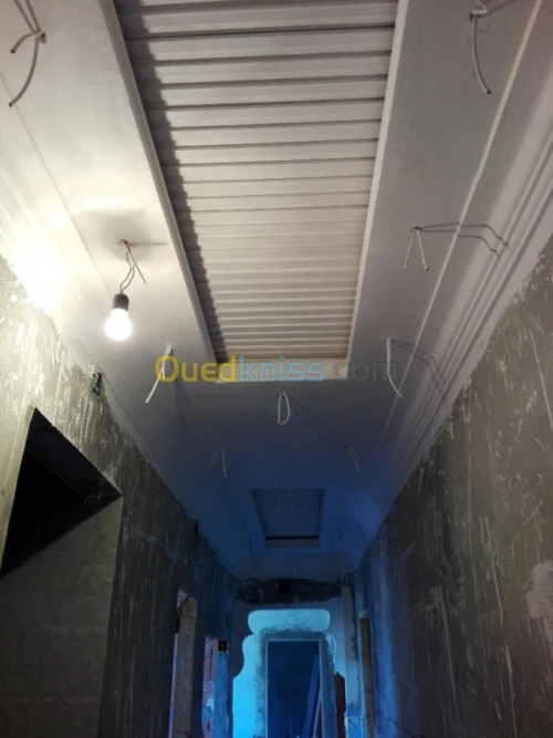 Platre . faux plafond 