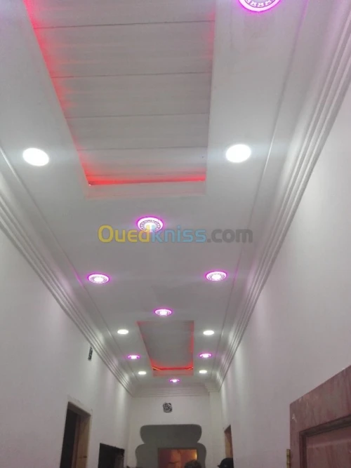 Platre . faux plafond 