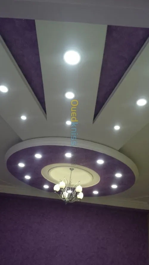 Platre . faux plafond 