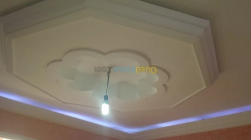 Platre . faux plafond 