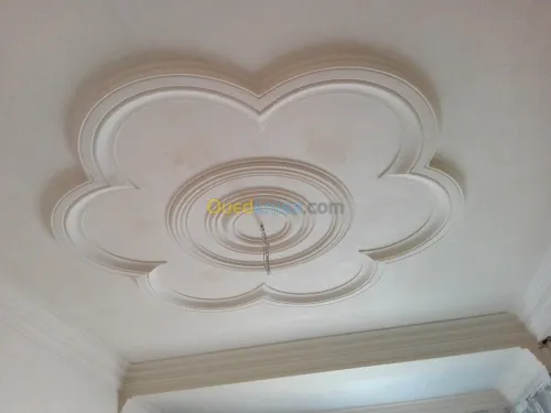 Platre . faux plafond 