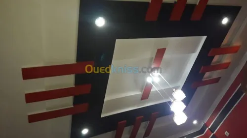 Peinture & Placo-platre & PVC 