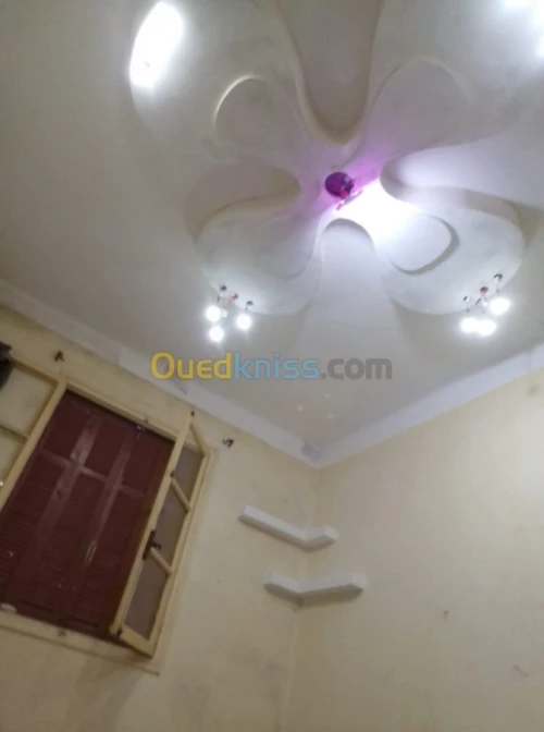 Fond plafond