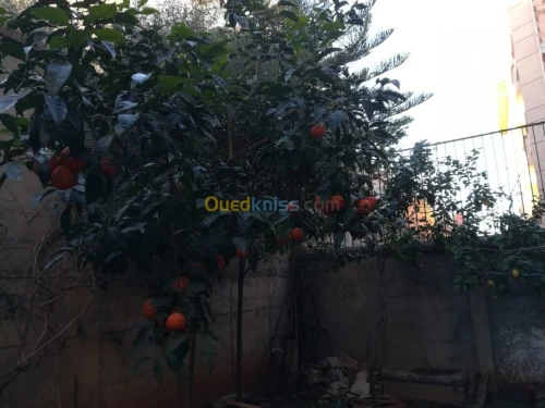 Vente Villa Alger Zeralda