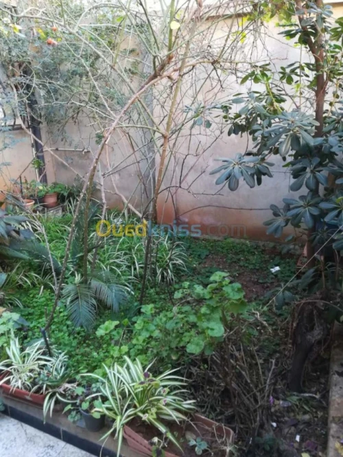 Vente Villa Alger Zeralda