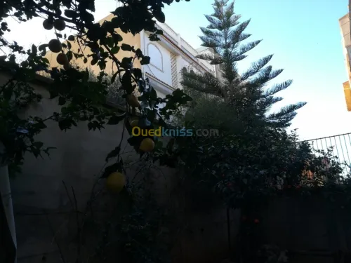 Vente Villa Alger Zeralda