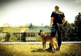 GARDIENNAGE, SURVEILLANCE SECURITE