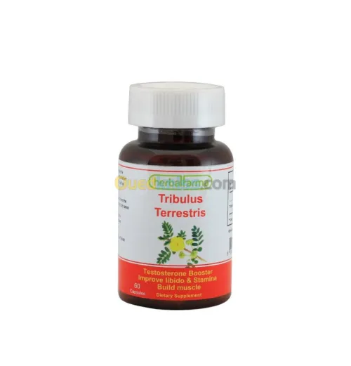 TRIBULUS TERRESTRIS plante de vitalité