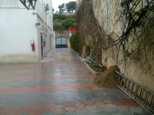 Location Villa Alger Hydra