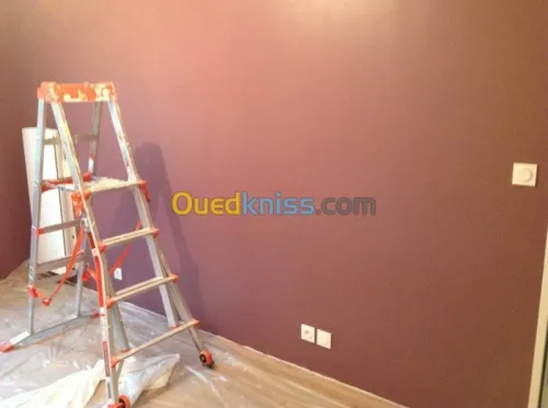 decoration et revêtement facade 