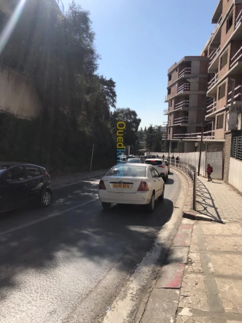 Location Villa Alger Hydra
