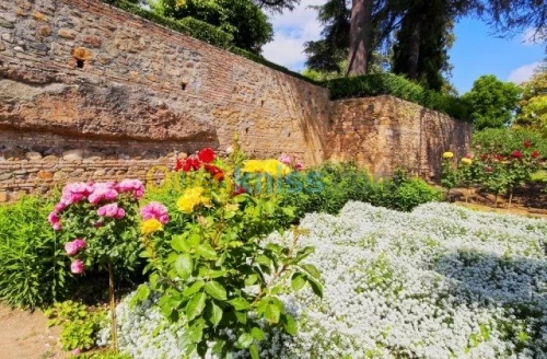 travaux jardinage 