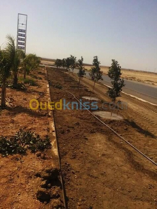  تلقيم وزبر الأشجار واستصلاح الأراضي 