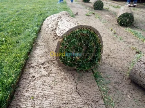 تهيئة المساحات  الخظراء