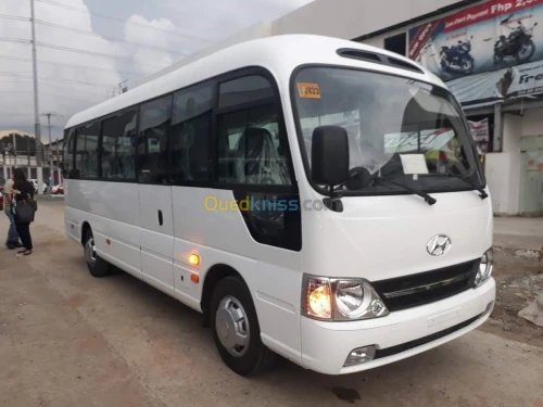 Transport bus
