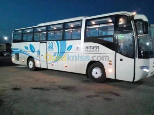Transport bus