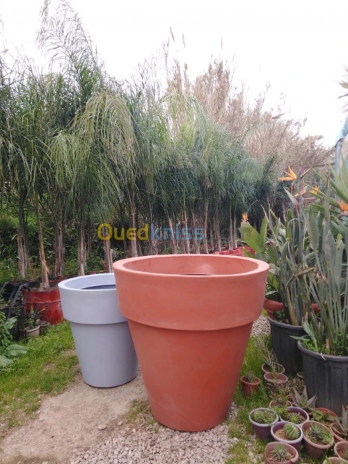 Décoration & pot de fleur