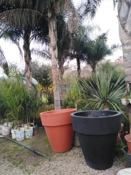 Décoration & pot de fleur