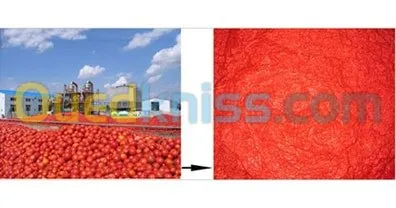 ACCOMPAGNEMENT AQUISITION EQUIPEMENTS LIGNE DE PRODUCTION ET CONDITIONNMENT POUR INVESTISSEMENT 