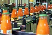 ACCOMPAGNEMENT AQUISITION EQUIPEMENTS LIGNE DE PRODUCTION ET CONDITIONNMENT POUR INVESTISSEMENT 