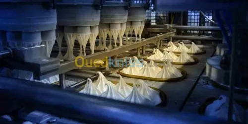 ACCOMPAGNEMENT AQUISITION EQUIPEMENTS LIGNE DE PRODUCTION ET CONDITIONNMENT POUR INVESTISSEMENT 