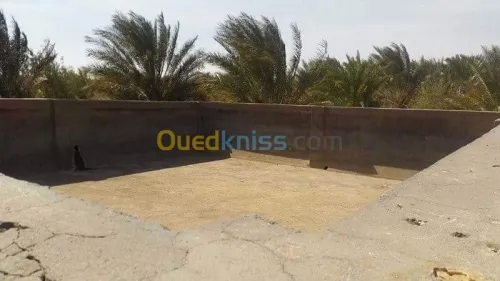 Vente Terrain Agricole Biskra Oumache