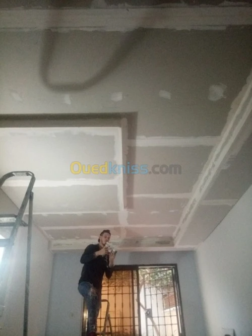 Placoplat et pvc et habillage murale