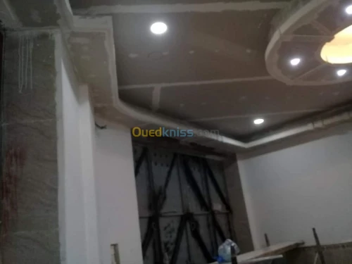 Placoplat et pvc et habillage murale