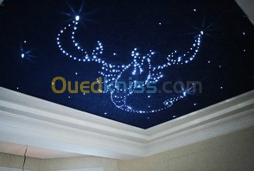 Decoration faux plafond