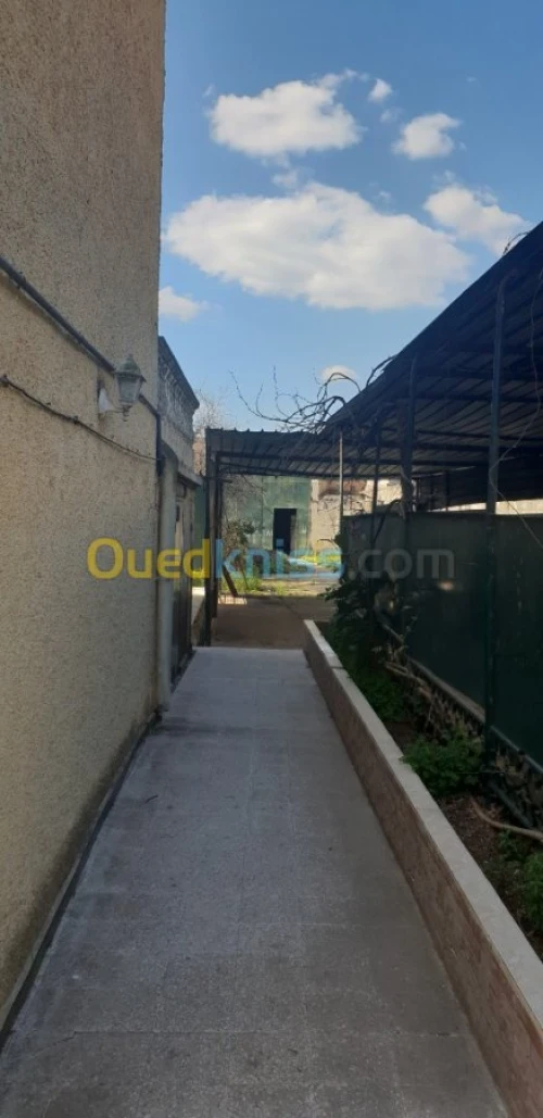 Vente Villa Alger Tessala el merdja