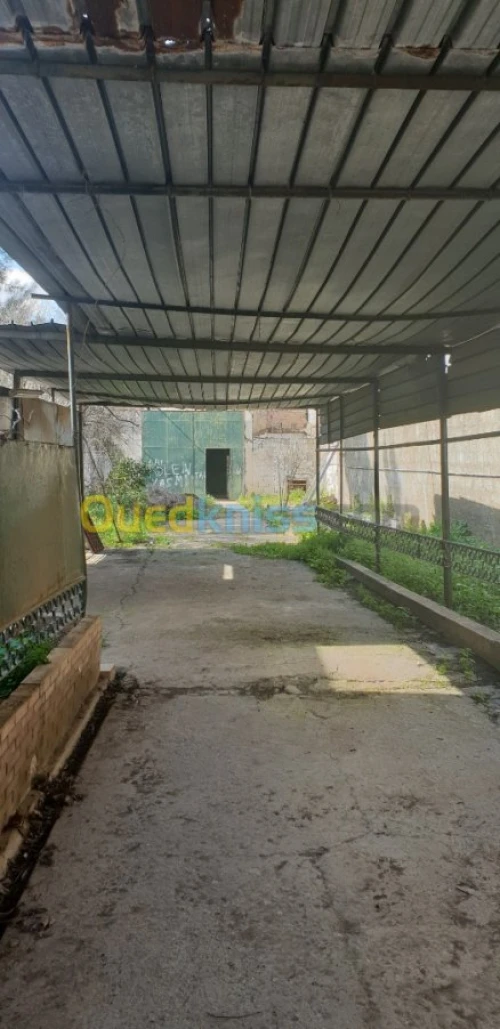 Vente Villa Alger Tessala el merdja