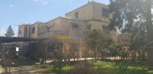 Vente Villa Alger Tessala el merdja