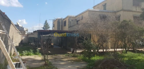 Vente Villa Alger Tessala el merdja