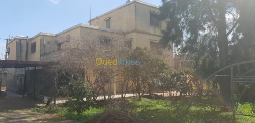Vente Villa Alger Tessala el merdja