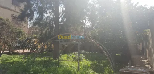 Vente Villa Alger Tessala el merdja