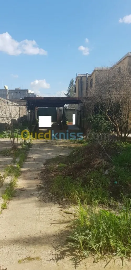 Vente Villa Alger Tessala el merdja
