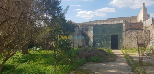 Vente Villa Alger Tessala el merdja